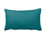 Abraham Lincoln "Stand Firm" Accent Pillow